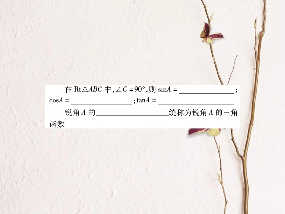 中考数学总复习 第一轮 基础知识复习 第七章 图形的变化 第4讲 解直角三角形（讲解本）课件[共47页]_第3页