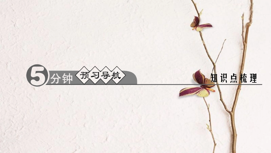 九年级化学上册 第五单元 课题1 质量守恒定律 第2课时 化学方程式课件 （新版）新人教版_第2页