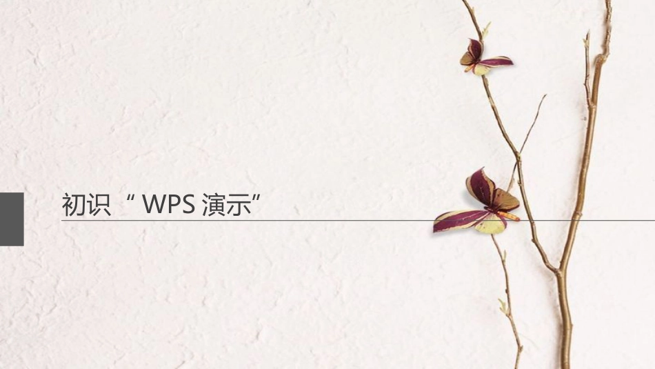 四年级信息技术上册 第10课 初识“WPS演示”课件1 苏科版[共6页]_第1页