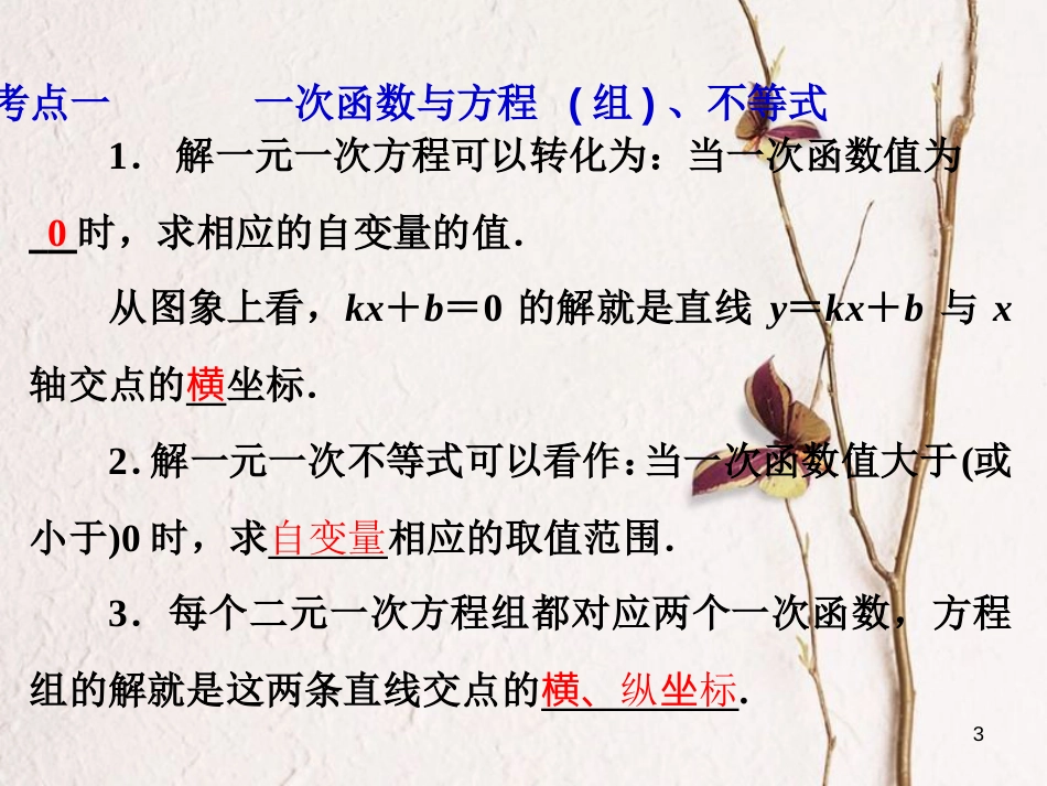 中考数学 第13讲 函数的综合应用复习课件1 （新版）北师大版[共61页]_第3页