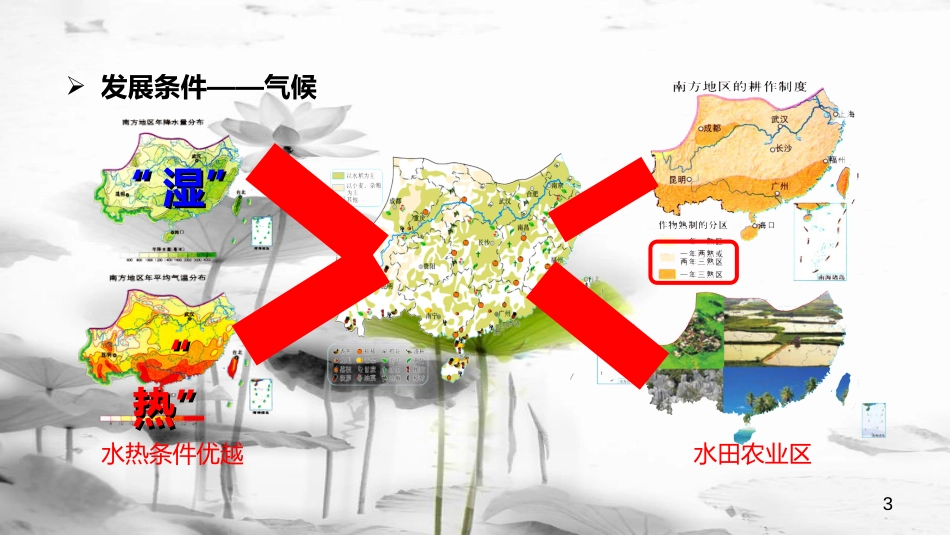 八年级地理下册 5.2 北方地区和南方地区 南方地区的农业生产课件 （新版）湘教版[共10页]_第3页