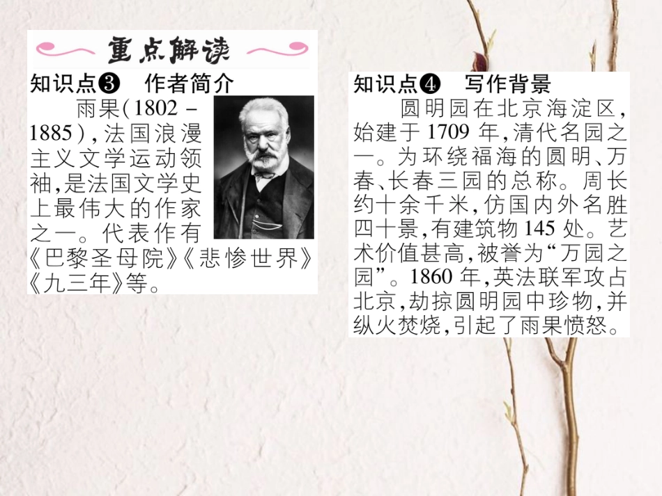 八年级语文上册 第一单元 4《就英法联军远征中国给特勒上尉的信》课件 （新版）新人教版[共19页]_第3页