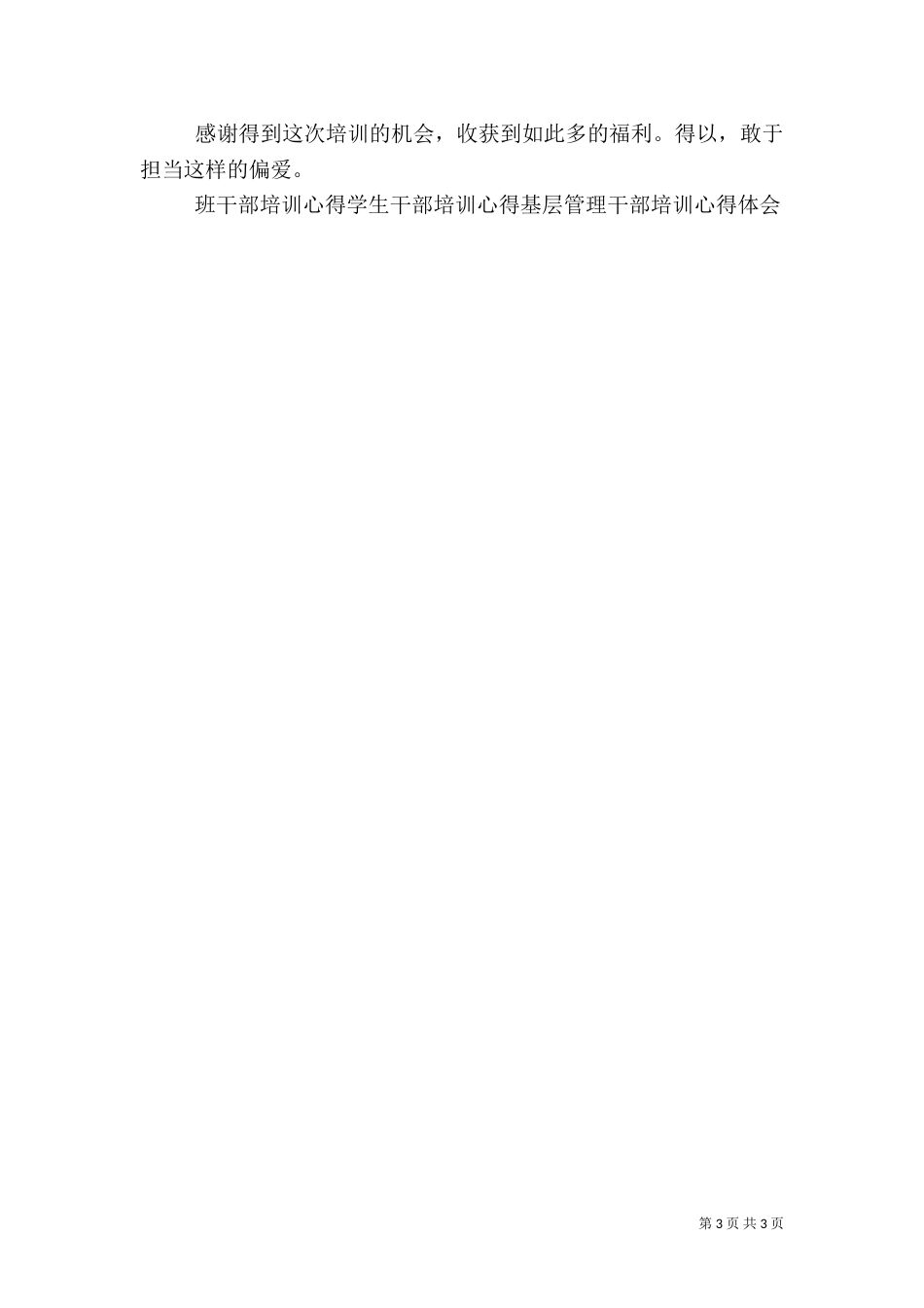 全局团干部培训心得_第3页