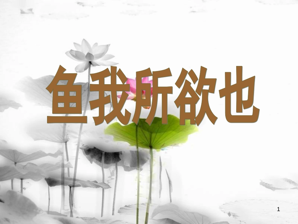 安徽省合肥市育英学校九年级语文下册 第五单元 第19课《鱼我所欲也》课件 新人教版_第1页