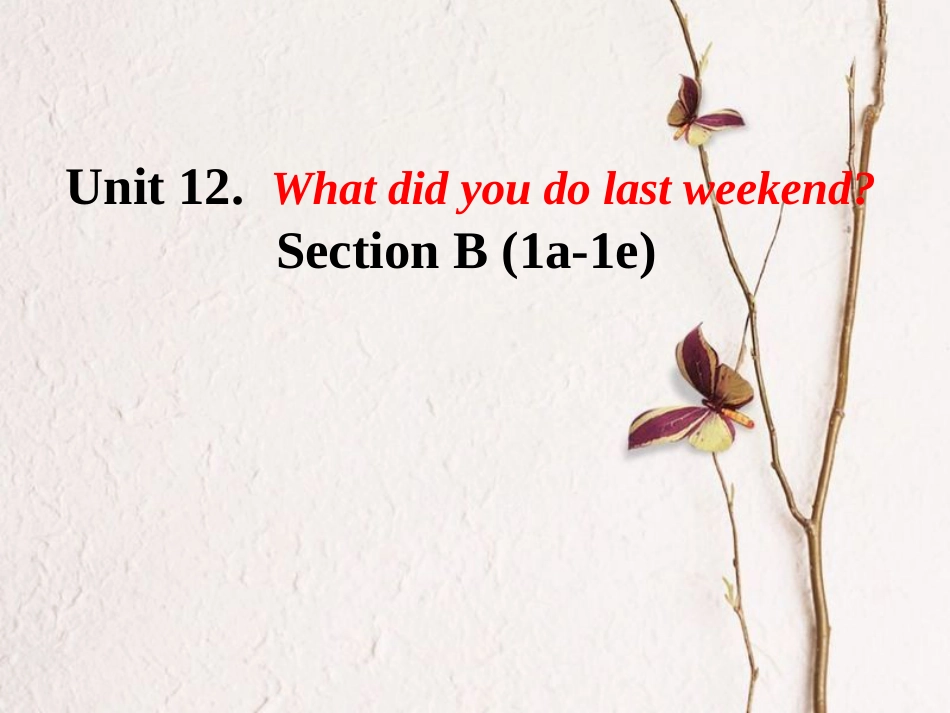 （水滴系列）七年级英语下册 Unit 12 What did you do last weekend（第4课时）Section B（1a-1e）课件 （新）人教新目标_第1页