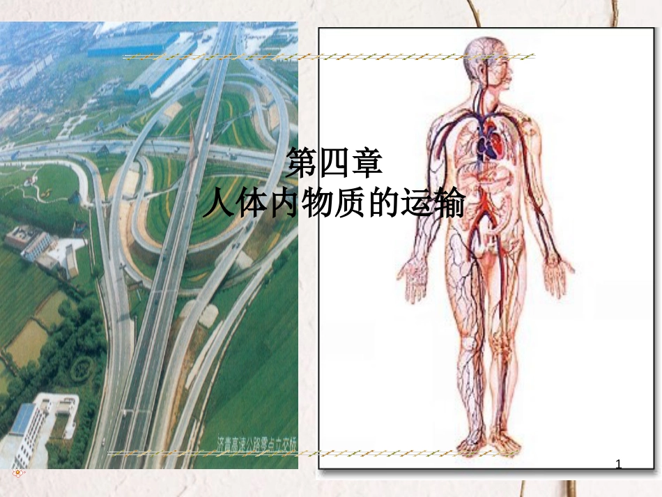 七年级生物下册 第四单元 第四章 第一节《流动的组织—血液》课件 （新版）新人教版_第1页