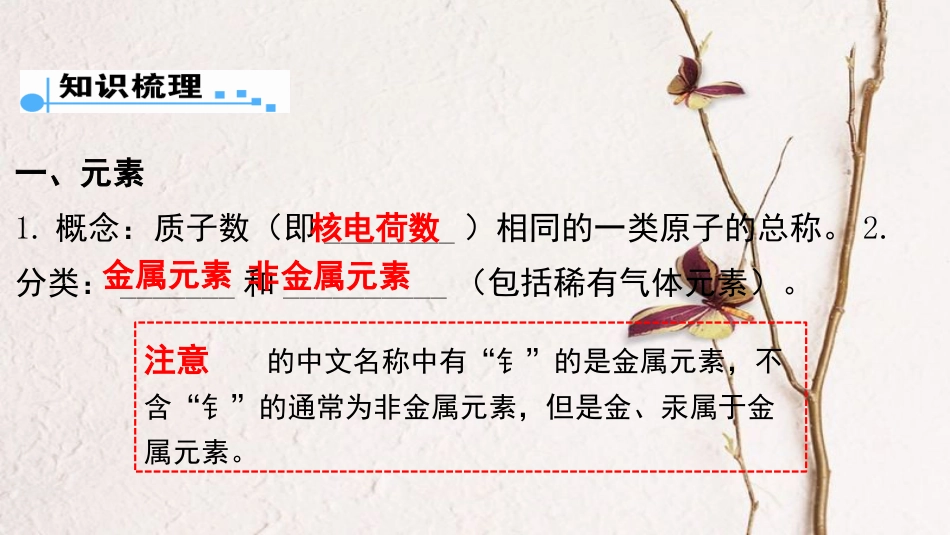 广东省中考化学 第一部分 基础过关 课时3 元素和元素周期表课件[共20页]_第2页