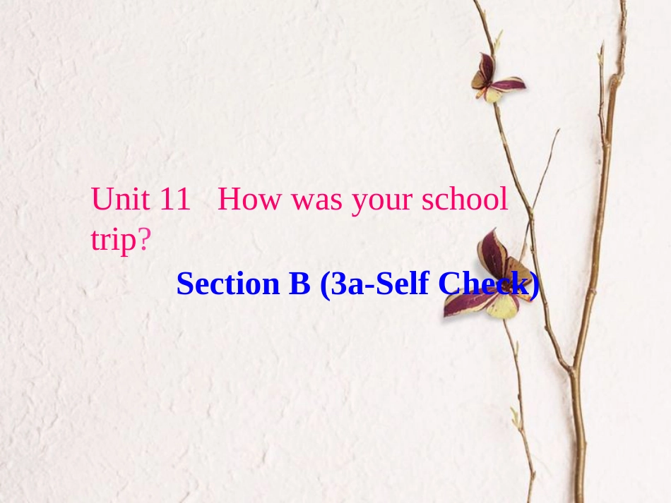 （水滴系列）七年级英语下册 Unit 11 How was your school trip（第6课时）Section B（3a-self check）课件 （新）人教新目标_第1页