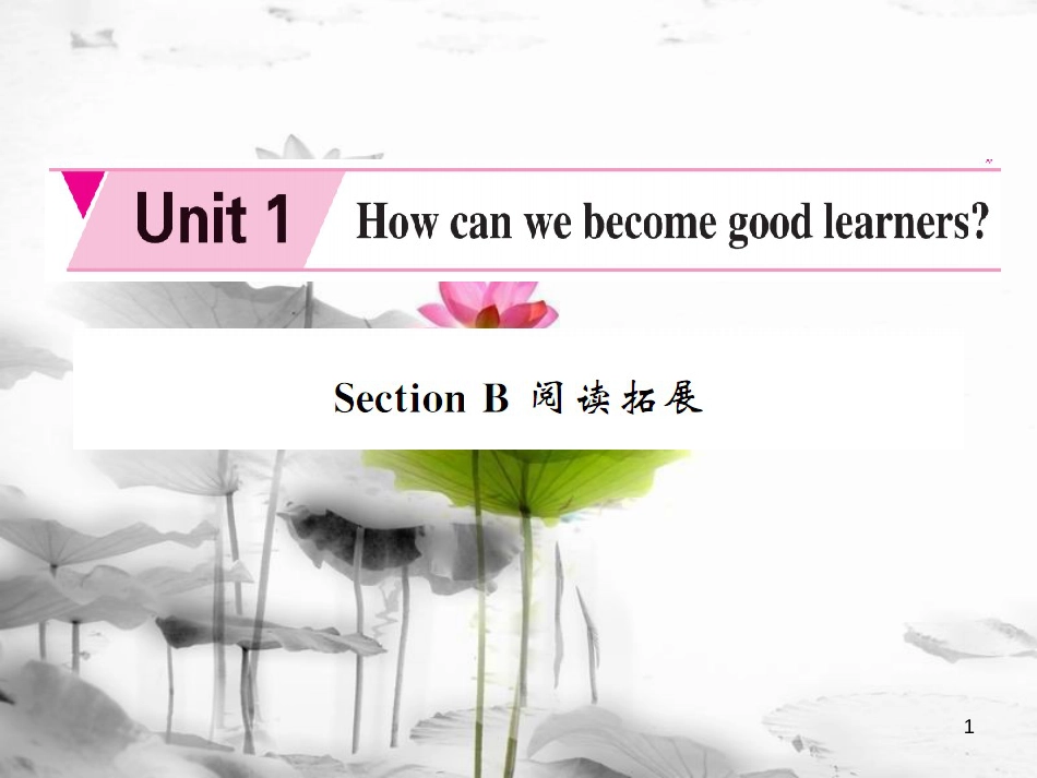 tmlAAA九年级英语全册 Unit 1 How can we become good learners Section B阅读拓展课件 （新版）人教新目标版_第1页
