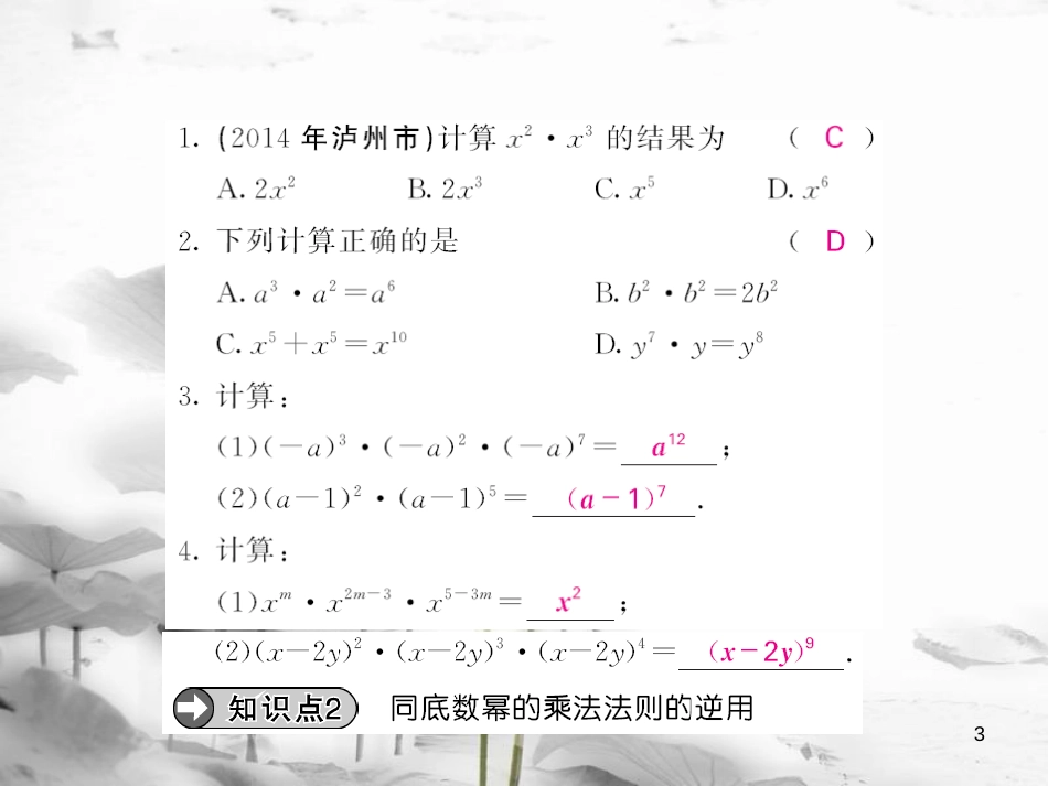 qxxAAA八年级数学上册 14.1.1 同底数幂的乘法课件 （新版）新人教版_第3页