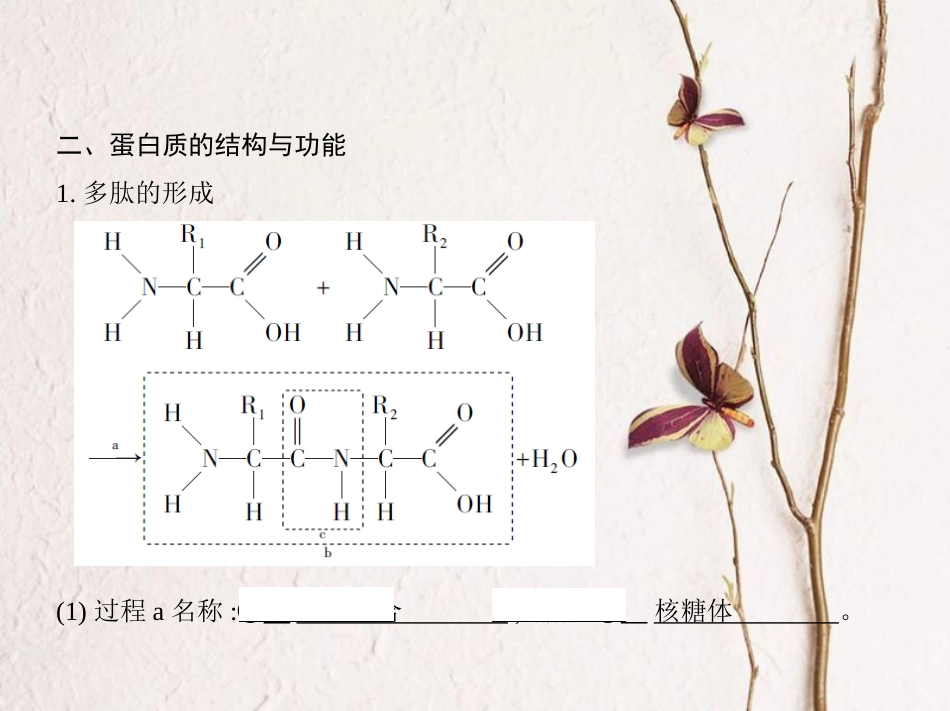 （新课标）高考生物一轮复习 分子与细胞 第1单元 细胞的分子组成第2讲 生命活动的主要承担者——蛋白质课件（必修1）_第3页