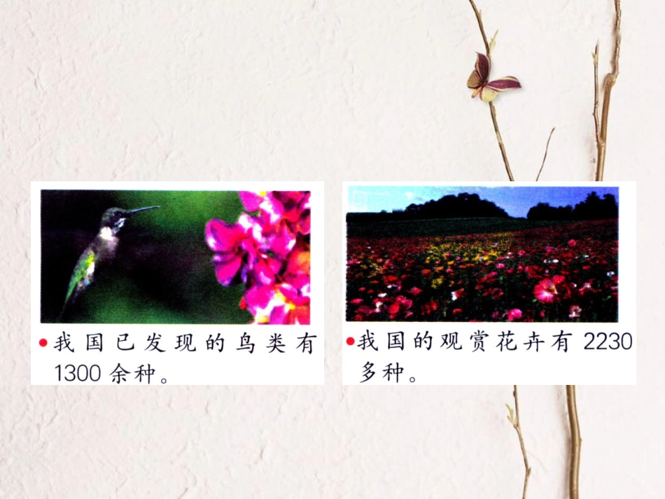 三年级数学上册 第1单元 生活中的大数（近似数）教学课件 冀教版[共13页]_第3页