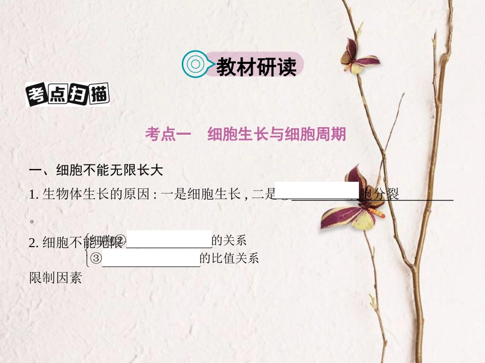 （新课标）高考生物一轮复习 分子与细胞 第4单元 细胞的生命历程 第11讲 细胞的增殖课件（必修1）[共46页]_第2页