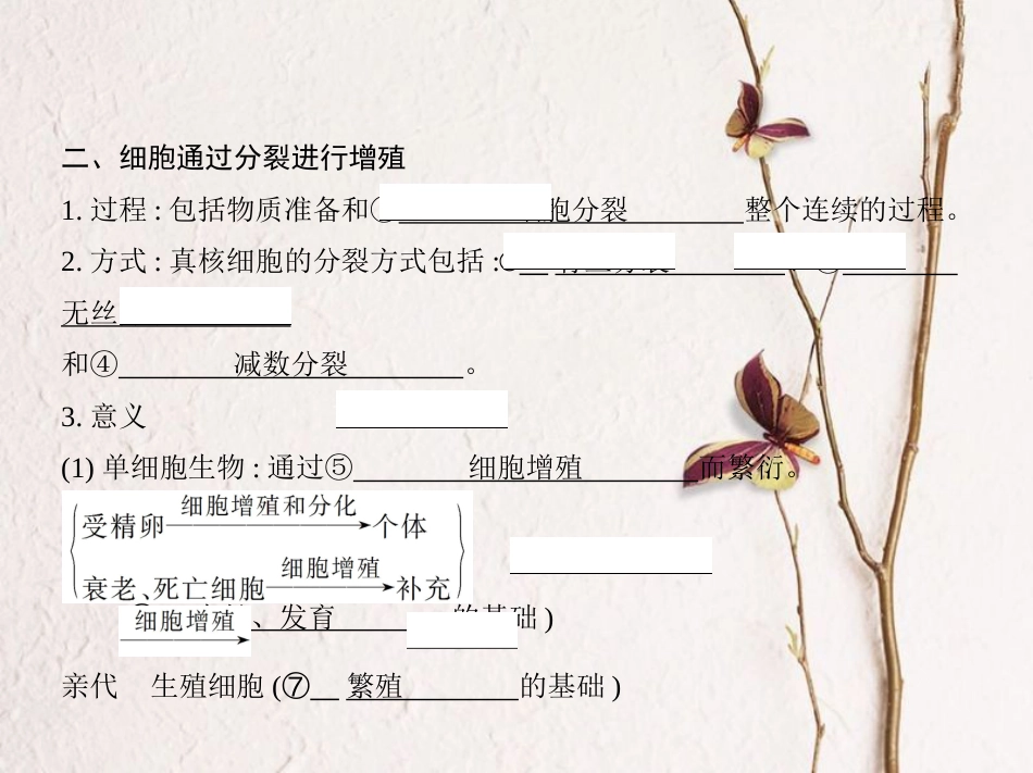 （新课标）高考生物一轮复习 分子与细胞 第4单元 细胞的生命历程 第11讲 细胞的增殖课件（必修1）[共46页]_第3页