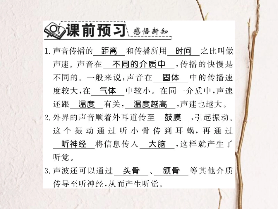 八年级物理上册 2.1 我们怎样听见声音 2.1.2 声速 人怎样听见声音习题课件 （新版）粤教沪版_第2页