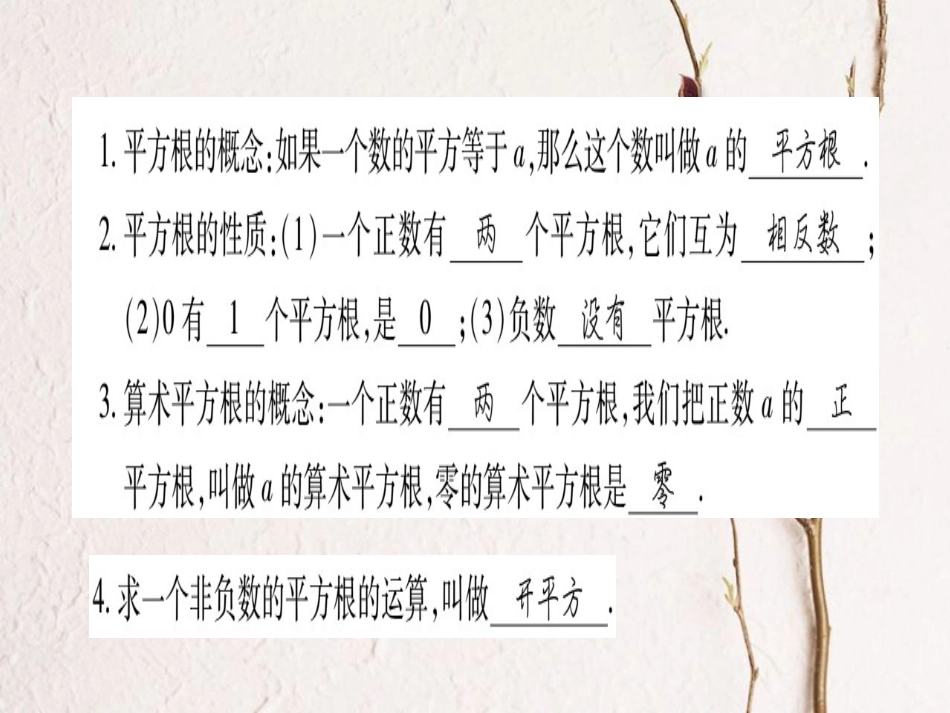 八年级数学上册 11.1 平方根与立方根习题课件 （新版）华东师大版[共40页]_第2页