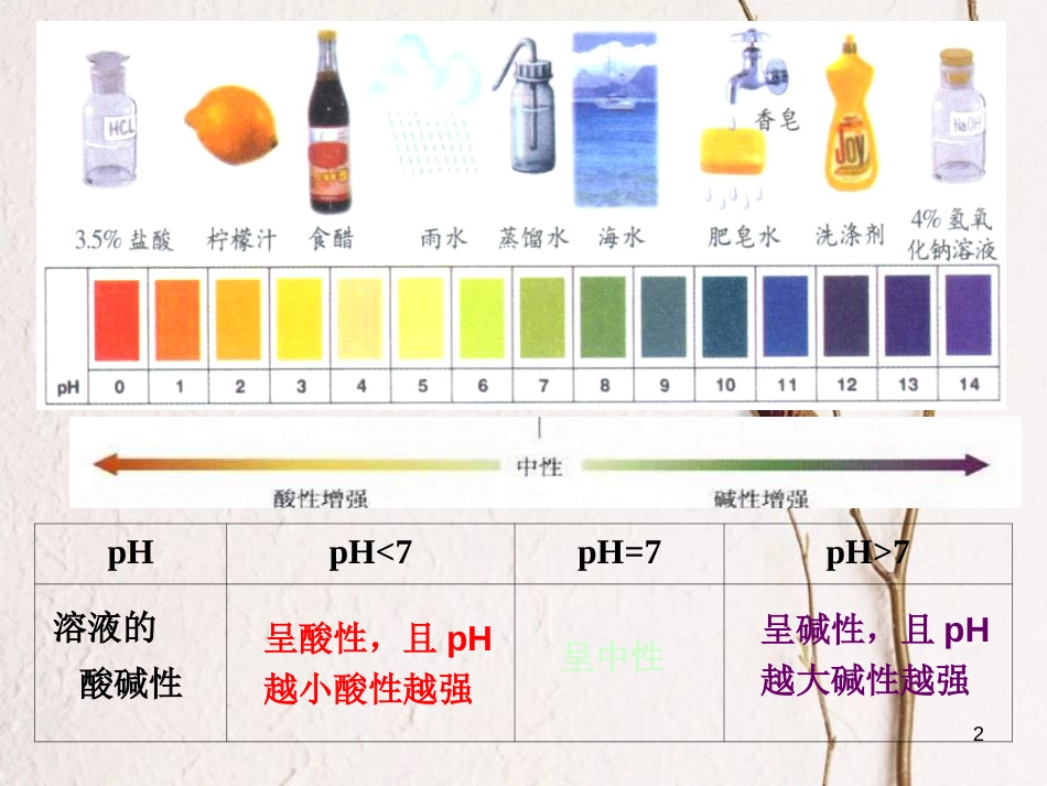 九年级科学上册 第1章 第1节 生活中的酸和碱课件1 华东师大版[共20页]_第2页