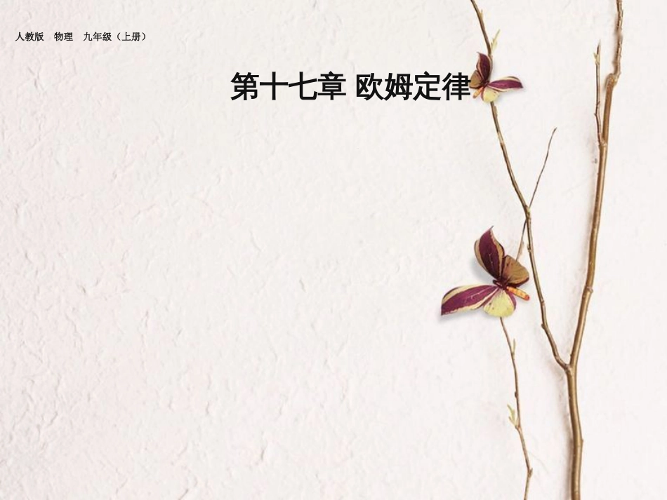 九年级物理全册 17 第1节 电流与电压和电阻的关系课件 （新版）新人教版_第1页