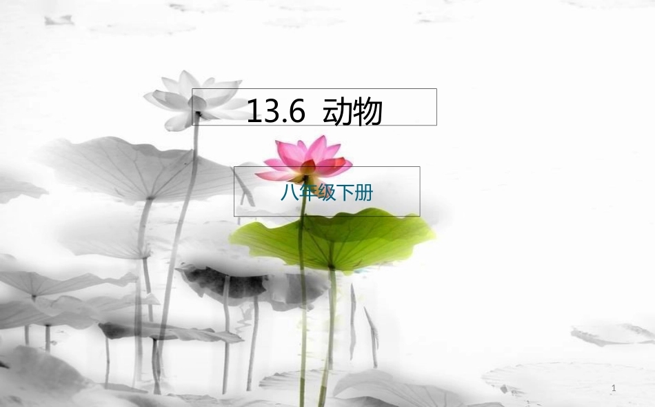 八年级生物下册 13.6 动物课件 北京课改版[共23页]_第1页