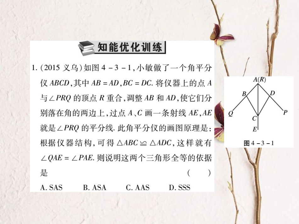 中考数学总复习 第一轮 基础知识复习 第四章 图形的认识及三角形 第3讲 全等三角形（练册本）课件[共33页]_第2页