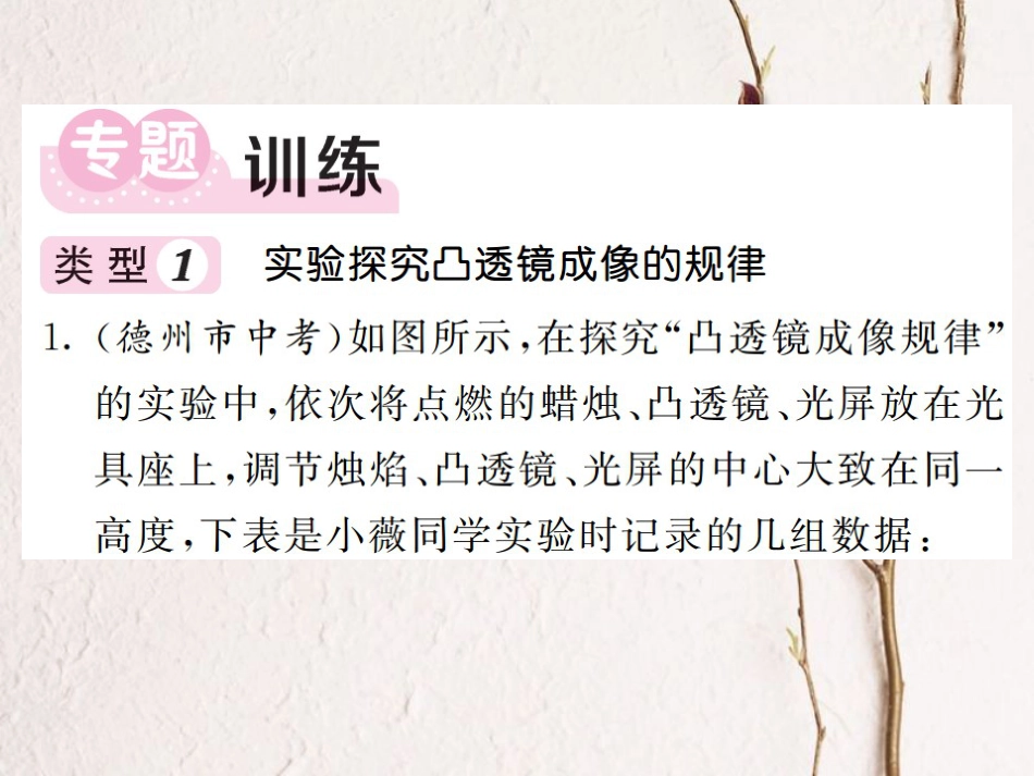 八年级物理上册 专题四 凹凸镜成像规律的应用习题课件 （新版）新人教版[共17页]_第2页