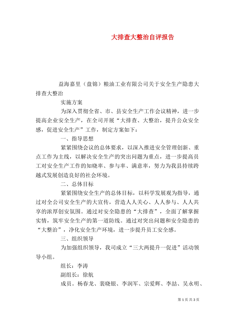 大排查大整治自评报告（四）_第1页