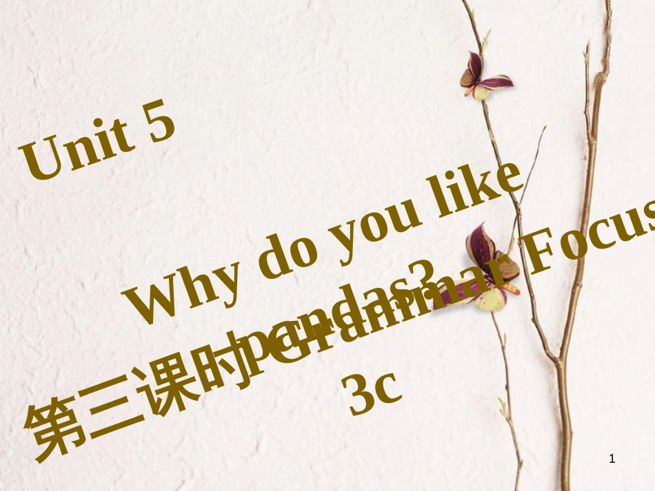 七年级英语下册 Unit 5 Why do you like pandas（第3课时）Grammar Focus-3c习题课件 （新版）人教新目标版_第1页