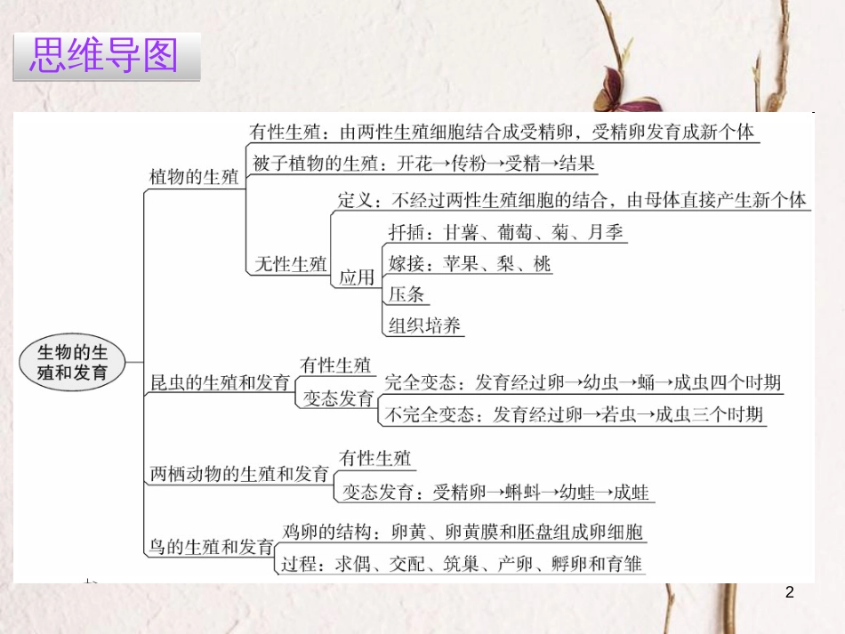八年级生物下册 7.1 生物的生殖和发育章末总结课件 （新版）新人教版_第2页