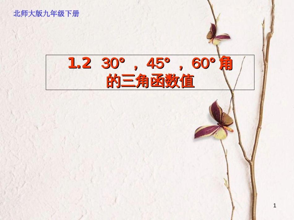 九年级数学下册 1.2 30°、45°、60°角的三角函数值课件 （新版）北师大版[共17页]_第1页