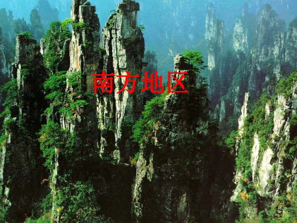 辽宁省抚顺市第一中学学年高一地理 世界地理 12南方地区课件1_第1页