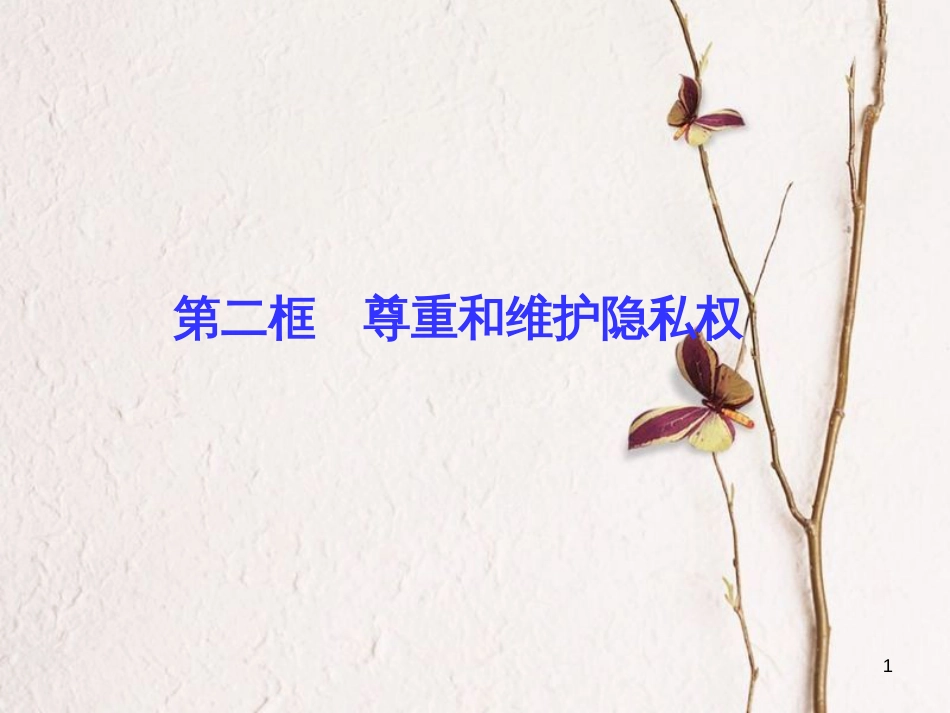 八年级政治下册 第二单元 我们的人身权利 第五课 隐私受保护 第二框 尊重和维护隐私权课件 新人教版_第1页
