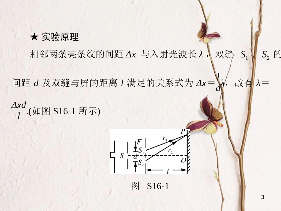 南方新高考高考物理大一轮复习 实验十六 用双缝干涉测光的波长课件_第3页