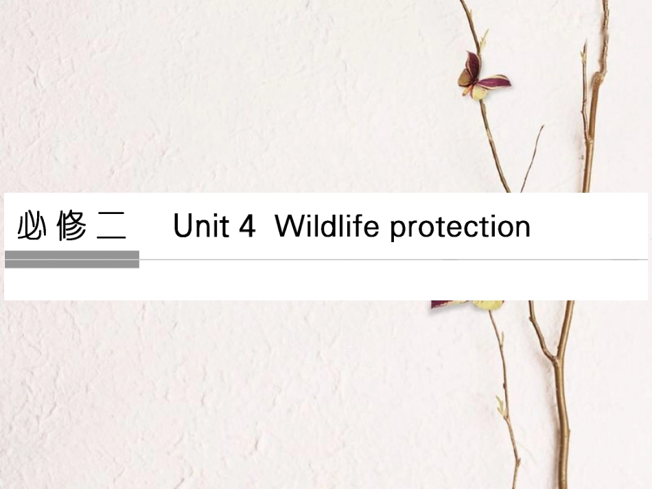 （全国）高考英语一轮复习 Unit 4 Wildlife Protection课件 新人教必修2_第1页