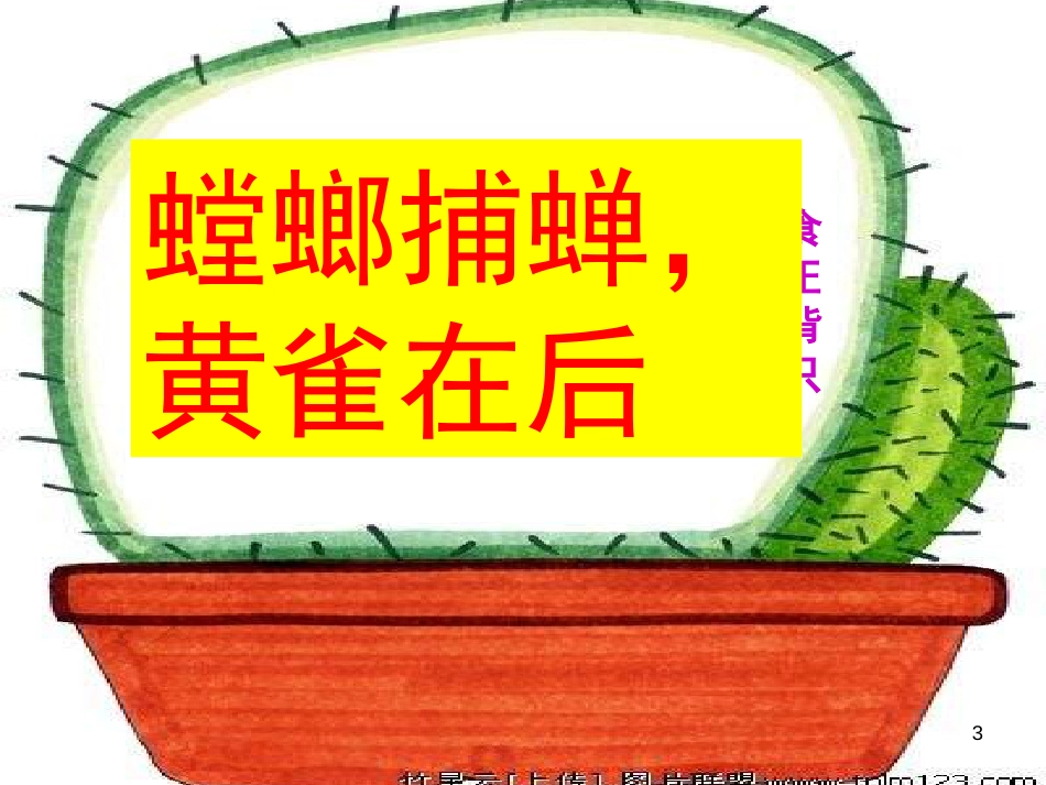 六年级科学上册 密切联系的生物界课件5 青岛版[共33页]_第3页