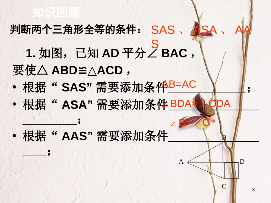 山东省潍坊高新技术产业开发区八年级数学上册 1.2 怎样判定三角形全等(3)课件 （新版）青岛版[共13页]_第3页