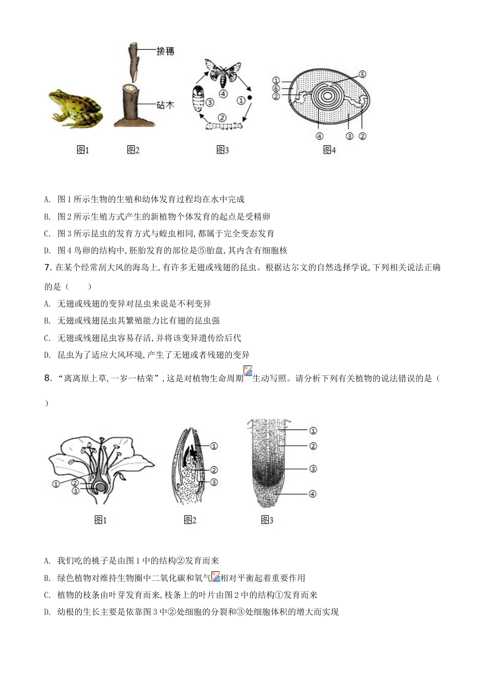 精品解析：四川省达州市2020年中考生物试题（原卷版）_第3页