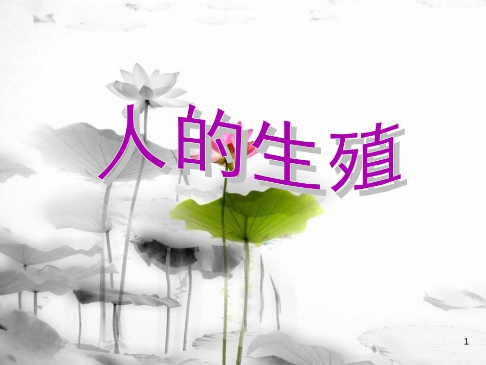 安徽省桐城市嬉子湖中心学校七年级生物下册 4.1.2 人的生殖课件 （新版）新人教版[共15页]_第1页