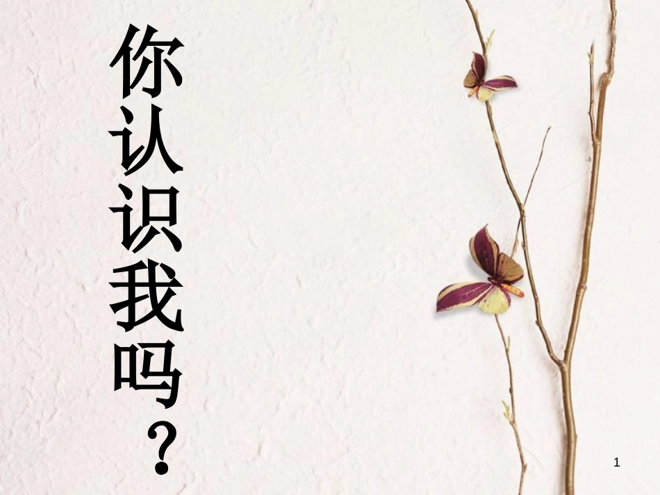 一年级音乐上册 鸭子拌嘴单元课件1 苏少版[共12页][共12页]_第1页