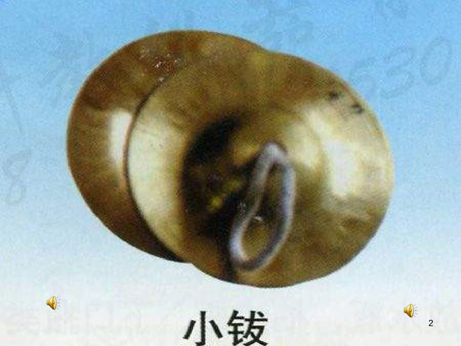 一年级音乐上册 鸭子拌嘴单元课件1 苏少版[共12页][共12页]_第2页