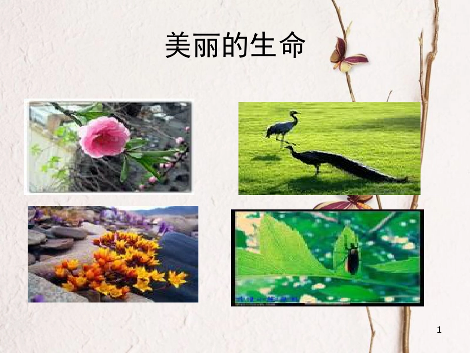 七年级语文上册 18《短文两篇（蝉，贝壳）》课件 （新版）新人教版[共45页]_第1页