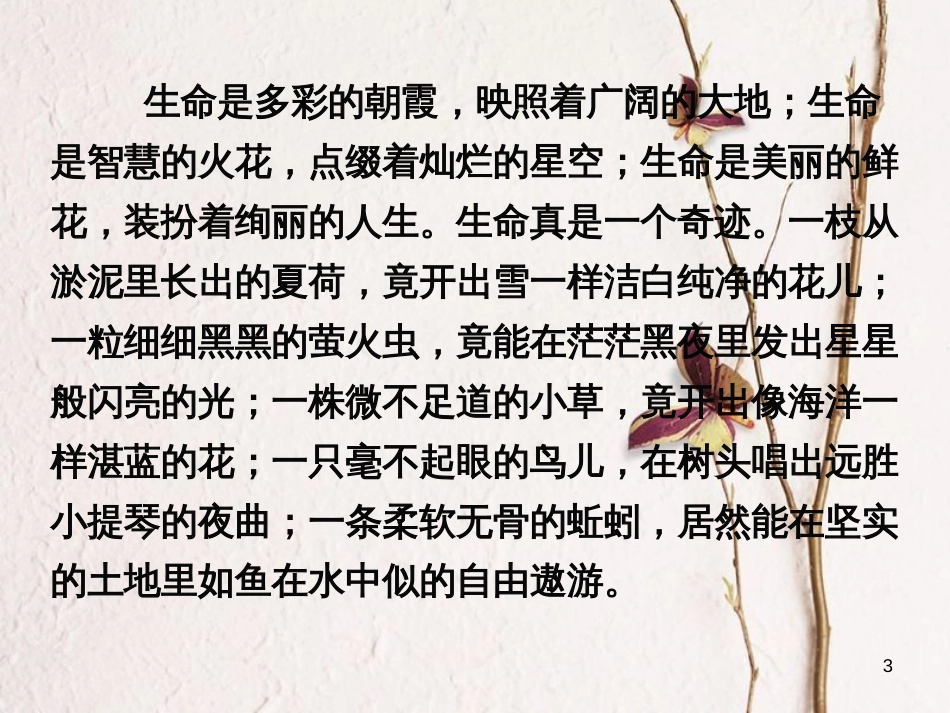 七年级语文上册 18《短文两篇（蝉，贝壳）》课件 （新版）新人教版[共45页]_第3页