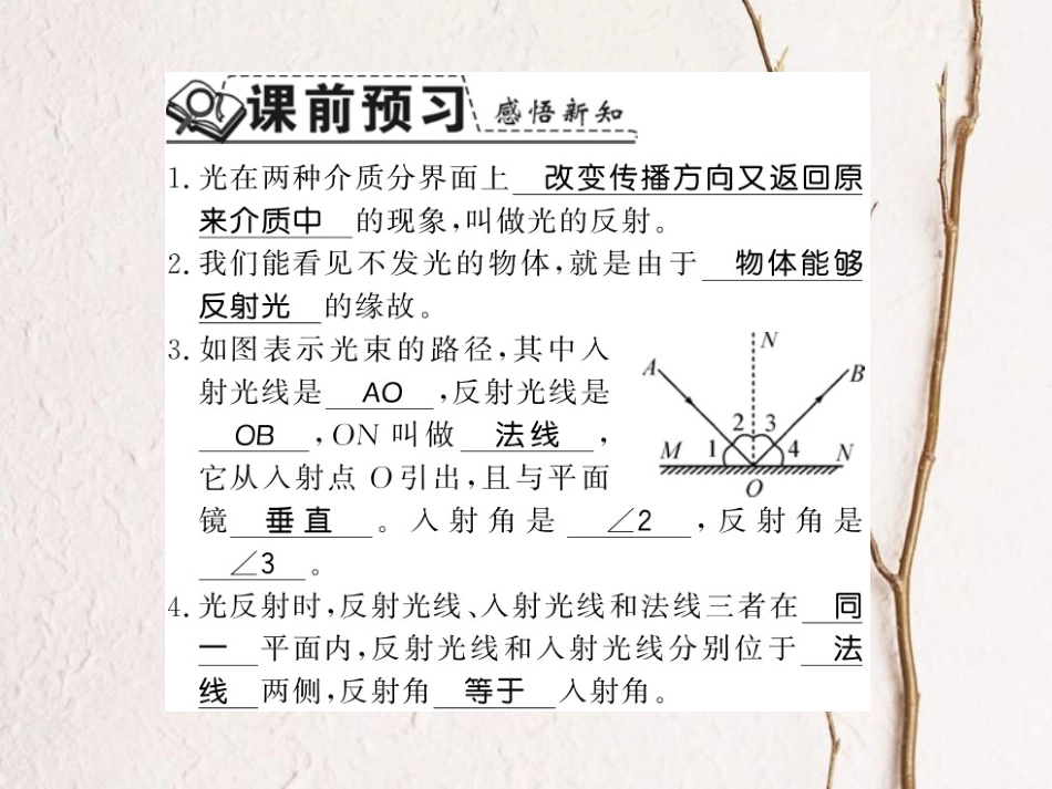 八年级物理上册 3.2 探究光的反射规律 3.2.1 光的反射规律习题课件 （新版）粤教沪版_第2页