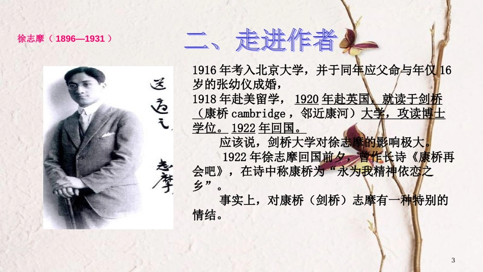 九年级语文下册 第二单元 6《再别康桥》教学课件 语文版_第3页