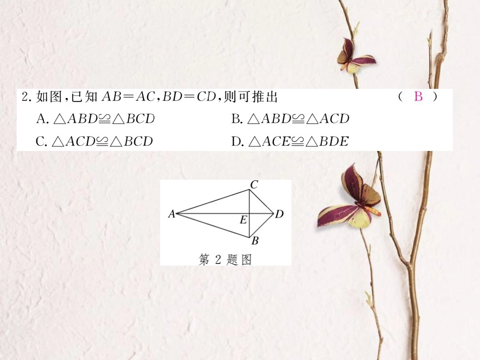 八年级数学上册 12 全等三角形检测卷课件 （新版）新人教版_第3页