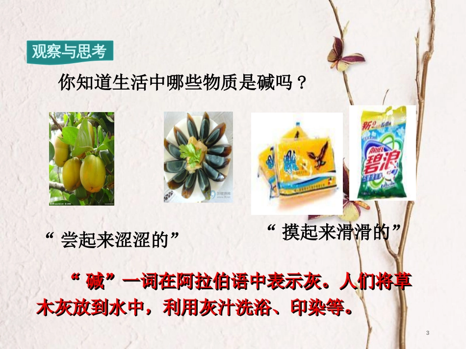 九年级化学下册 第10单元 酸和碱 课题1 常见的酸和碱 第1课时 酸碱指示剂 几种常见的酸教学课件 （新版）新人教版[共21页]_第3页