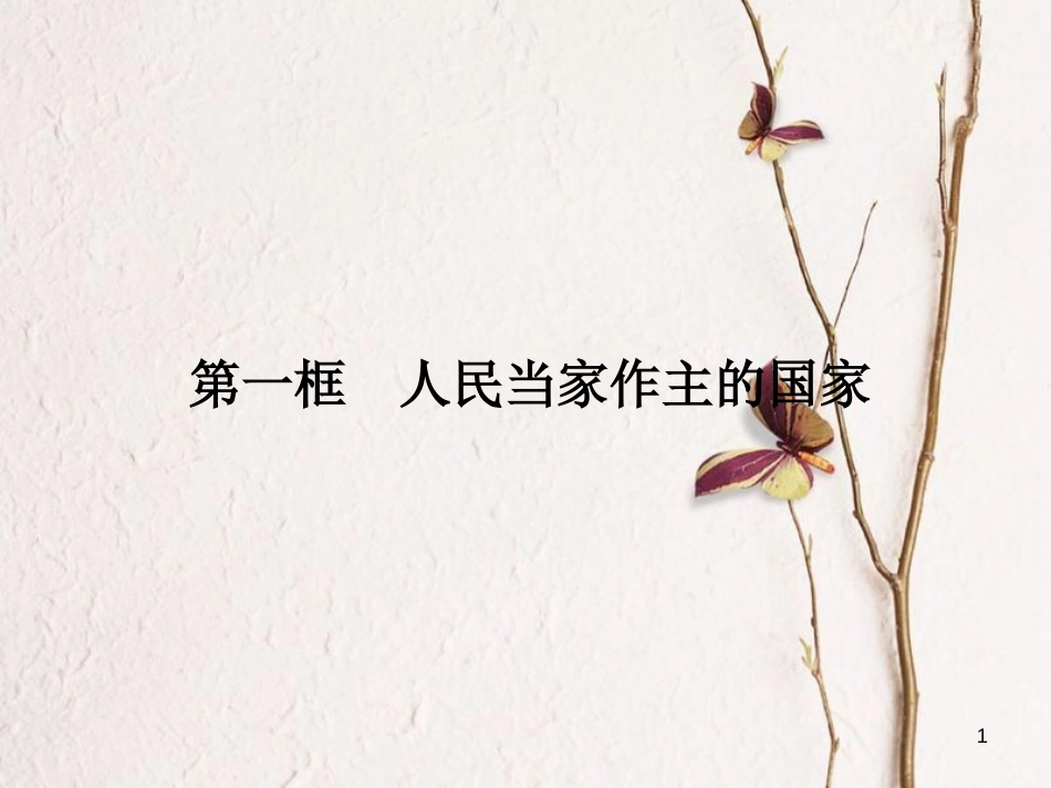 八年级政治下册 第一单元 权利义务伴我行 第一课 国家的主人 广泛的权利 第一框 人民当家作主的国家课件 新人教版[共16页]_第1页