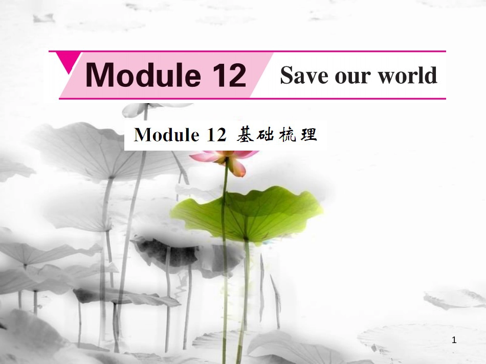 hxoAAA九年级英语上册 Module 12 Save our world基础梳理课件 （新版）外研版_第1页