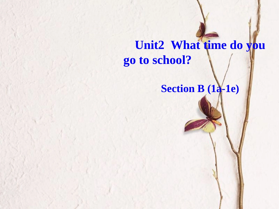 （水滴系列）七年级英语下册 Unit 2 What time do you go to school（第4课时）Section B（1a-1e）课件 （新）人教新目标_第1页