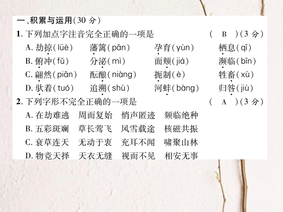 八年级语文上册 第四单元 达标测试题课件 （新版）新人教版[共22页]_第2页