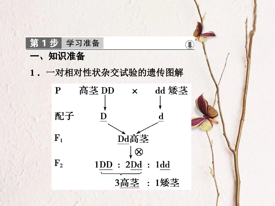 高中生物 第一章 遗传因子的发现 第2节 孟德尔的豌豆杂交实验（二）课件 新人教版必修2_第2页